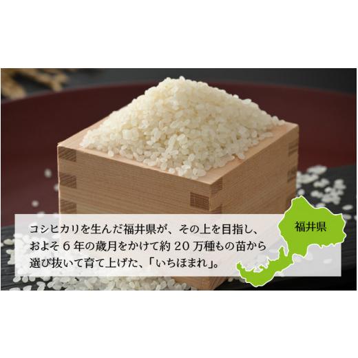 ふるさと納税 福井県 勝山市  令和5年産 新米 福井県の新しいブランド米 いちほまれ5kg ×1袋（5kg × 3ヶ月） [C-015013]