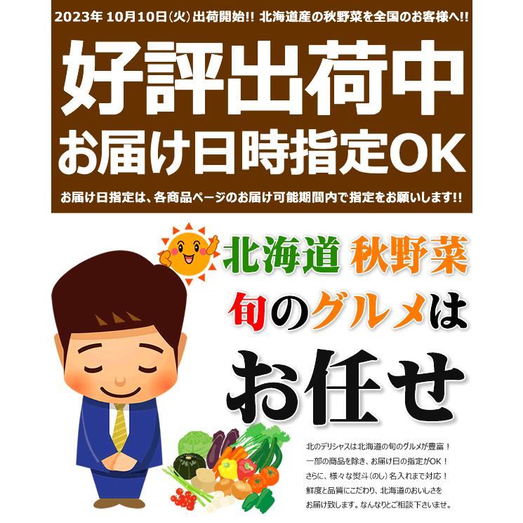 北海道産 じゃがいも ご家庭用 4kg(インカ 2kg・レッドムーン 2kg) ジャガイモ 馬鈴薯 新じゃが 越冬 野菜 北海道 送料無料 お取り寄せ