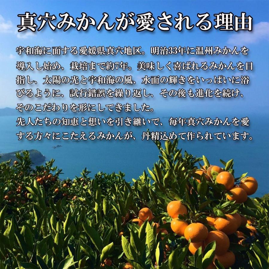 みかん 真穴みかん 贈答 ひなの里 お歳暮 真穴 高級みかん 約3ｋｇ 送料無料