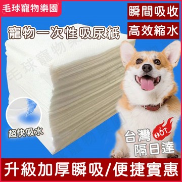 【台灣現貨】寵物吸尿紙 一次性吸尿紙 寵物吸尿紙 尿布墊 吸尿紙 尿片 吸水紙 速乾擦尿神器 寵物用品 吸尿墊 尿墊