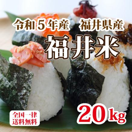 福井米 令和５年産 福井県産米10割 20kg 白米 安い 10kg×2 ブレンド米 生活応援米 送料無料