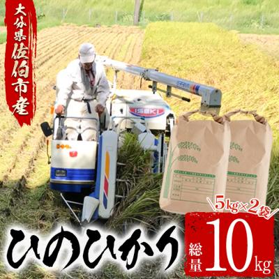 ふるさと納税 佐伯市 大分ひのひかり(計10kg・5kg×2袋)