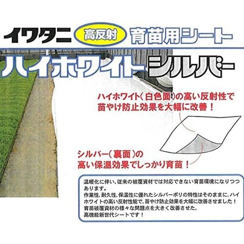 岩谷マテリアル 育苗用 ハイホワイトシルバー 厚0.05mm×幅230cm×25m