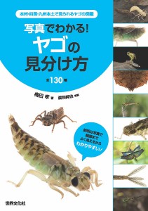 写真でわかる ヤゴの見分け方全130種 本州・四国・九州本土で見られるヤゴの図鑑