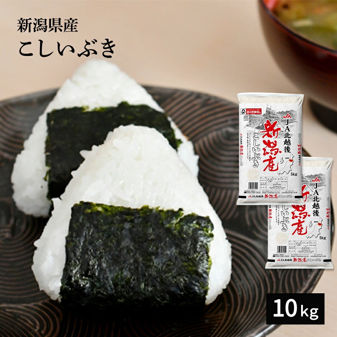 米 10kg こしいぶき 新潟県産 令和5年産 新米 お米 白米 精米 10キロ 単一原料米 安くて美味しい 生活 両親 出産 結婚 新築 内祝い 引っ越し 挨拶 粗品 贈り物 ギフト 香典