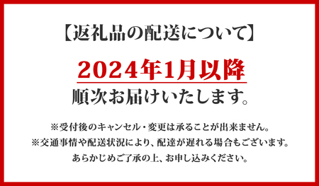 先行受付倶知安ビーフカレー 北海道 計3個 中辛 レトルト食品 加工品 牛肉 ビーフ 野菜 じゃがいも お取り寄せ グルメ 北海道 スパイシー スパイス 