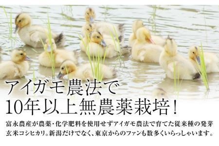 令和5年・新潟県産｜JAS有機栽培アイガモ農法 コシヒカリ 発芽玄米 2kg