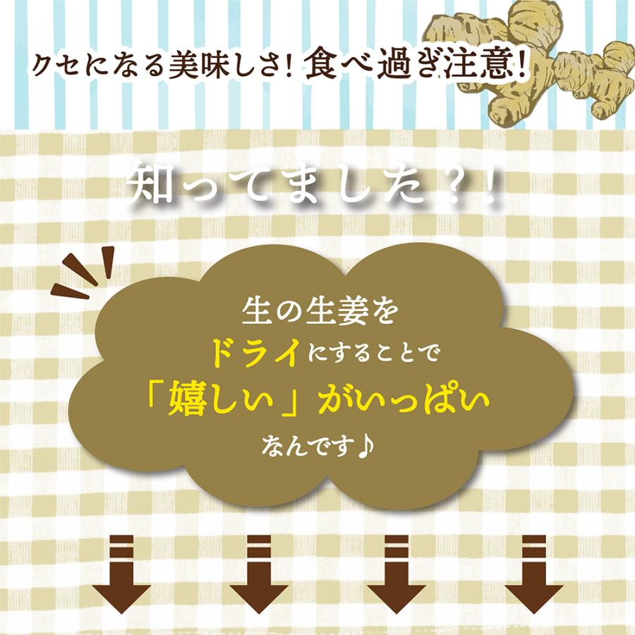 ドライフルーツ 高知県産 生姜糖 500g 送料無料 国産 しょうが ショウガ 生姜 お試し