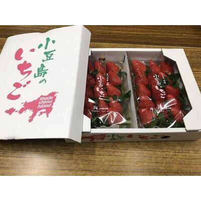 ふるさと納税 小豆島女峰いちご DXパック 250g×4パック（1kg） 香川県小豆島町