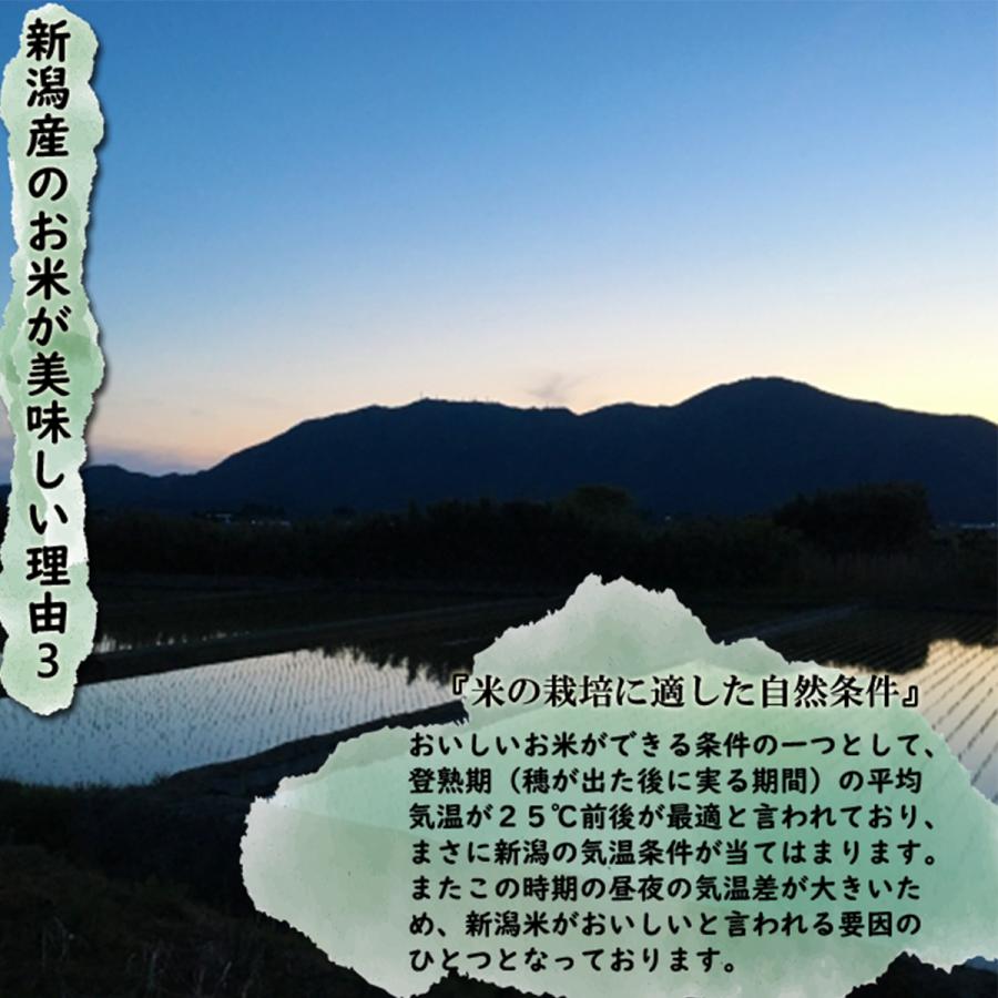 新米 令和５年産 新潟産 特別栽培米コシヒカリ 白米10kg （5kg×2袋）「香り」「ツヤ」「甘味」「粘り」高水準、プロ仕様、自慢のコシヒカリ