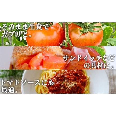 ふるさと納税 夜須町産フルーツトマト 2kg箱入り トマト フルーツトマト 野菜 贈り物 箱入り ga-0005 高知県香南市