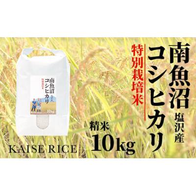 ふるさと納税 南魚沼市 南魚沼産塩沢コシヒカリ(特別栽培米)精米10kg