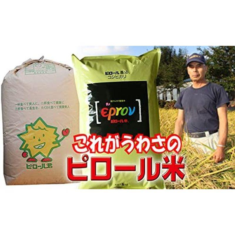 精米福井産 ピロール米 コシヒカリ 5kg ピロール農法米