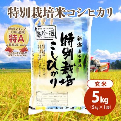 ふるさと納税 上越市 令和5年産|新潟上越三和産|特別栽培米コシヒカリ(従来種)5kg(5kg×1)玄米