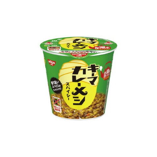 日清食品 日清キーマカレーメシ　スパイシー　１０５ｇ　６食