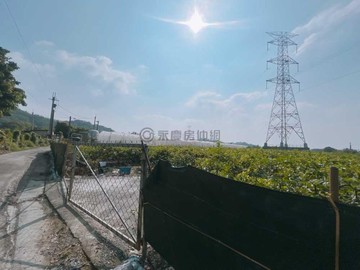 紘緯燕巢臨路方正漂亮美農地｜高雄市燕巢區燕東段