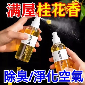 🌸快速除異味🌸去煙味神器 清新除臭 桂花清新劑 空氣清新劑 持久留香 室內廁所 汽車香水 去煙味火鍋味汗味異味噴霧 桂花