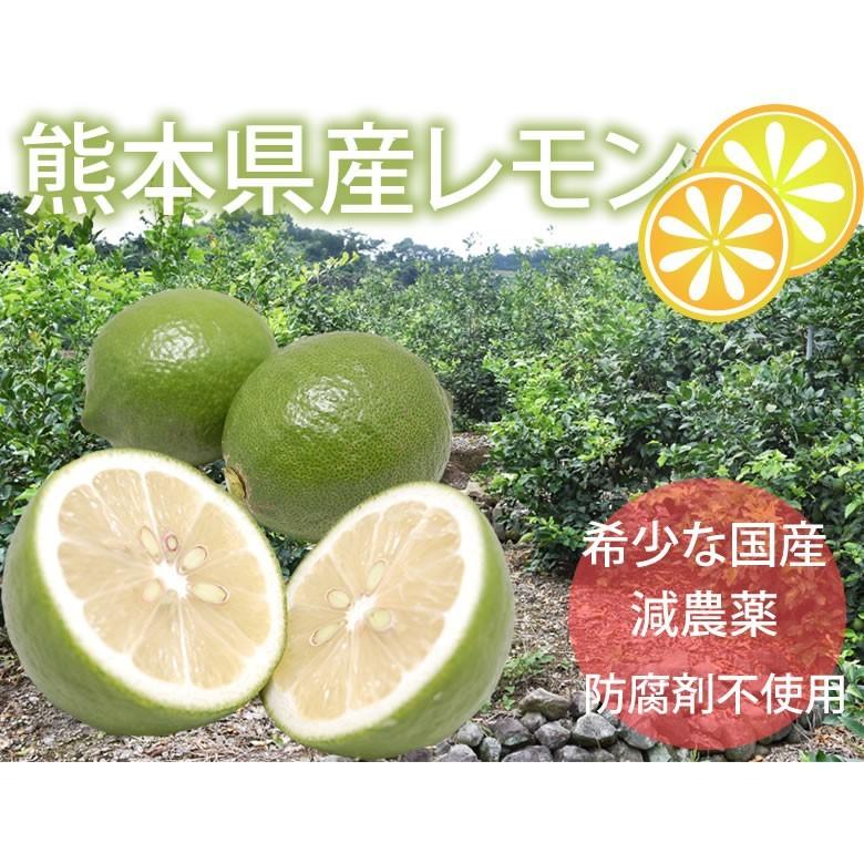 レモン 国産レモン 送料無料 4kg S〜L 3箱購入で1箱おまけ 熊本県産 減農薬 防腐剤ワックス不使用 れもん グリーンレモン 国産