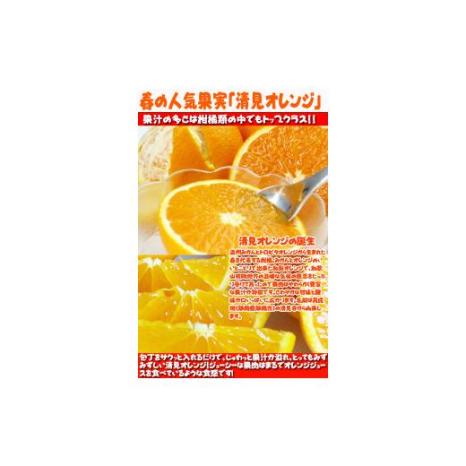 ふるさと納税 和歌山県 那智勝浦町 紀州有田産清見オレンジ　7.5kg