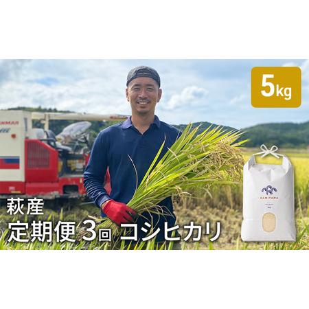 ふるさと納税 定期便 3か月 コシヒカリ 令和5年 5kg 米 コメ こめ 萩産 KAMITAMA 山口県萩市