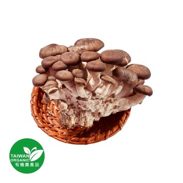 [家速配]有機黑美人菇150g/盒