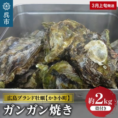 丸十水産 広島ブランド牡蠣 かき小町 ガンガン焼き 約2kg