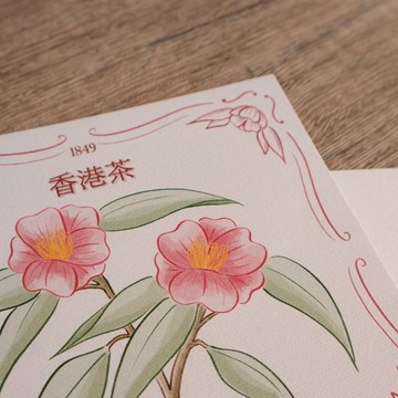 香港花系列明信片 — 香港茶