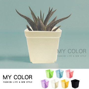 花盆 塑膠花盆 多肉花盆 盆栽 盆子 多肉植物 仙人掌 園藝 育苗盆 營養缽 花架 花台 植物 種花 菜盆 盆花 陽台 菜園 加厚 迷你塑料花盆 ♚MY COLOR♚【Y040】