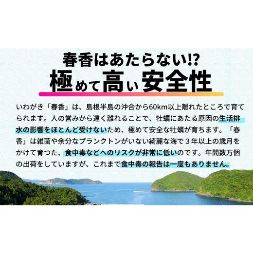 ふるさと納税 島根県 海士町 生のいわがき春香 Sサイズ6個  生牡蠣 牡蛎 牡蠣 かき 岩牡蠣 生食可能 冷蔵