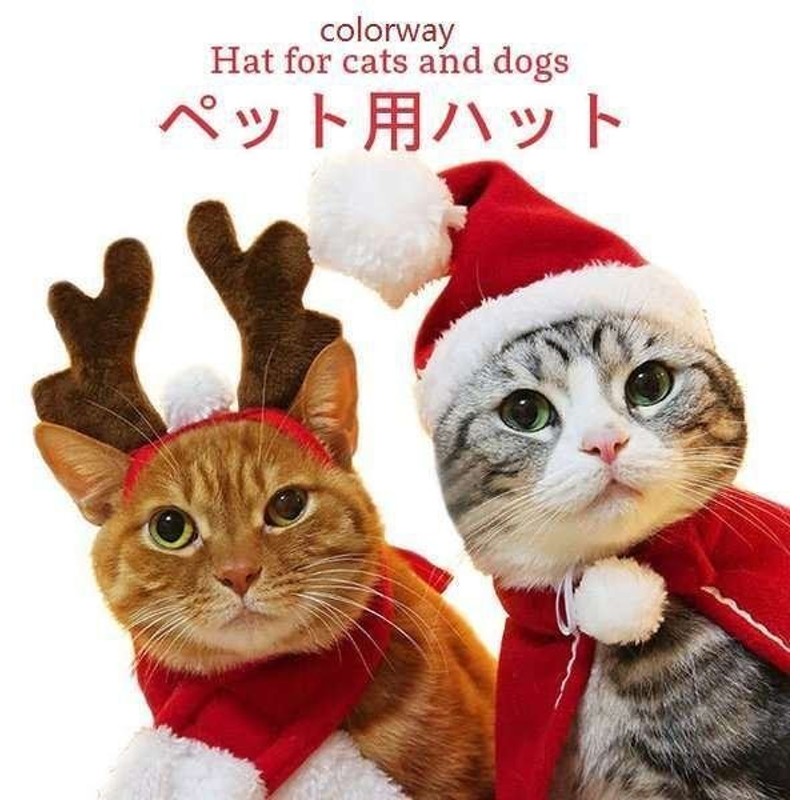 市場 2点セット クリスマス 仮装 帽子+服 ハロウィー 犬 衣装 コスチューム ネコ 変装 猫犬兼用 コスプレ 猫 cosplay かわいい