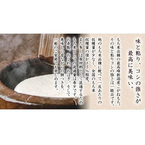 新潟県産 白米 こがねもち米 お試しセット (300g×3袋) 令和5年産