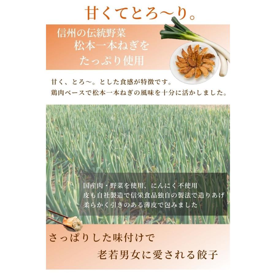 松本一本ねぎ 餃子 40個入  信州 伝統野菜 松本一本ねぎ を使ったギョーザ 信州 グルメ ご当地 お取り寄せ ニンニクなし 長野 松本 地産地商