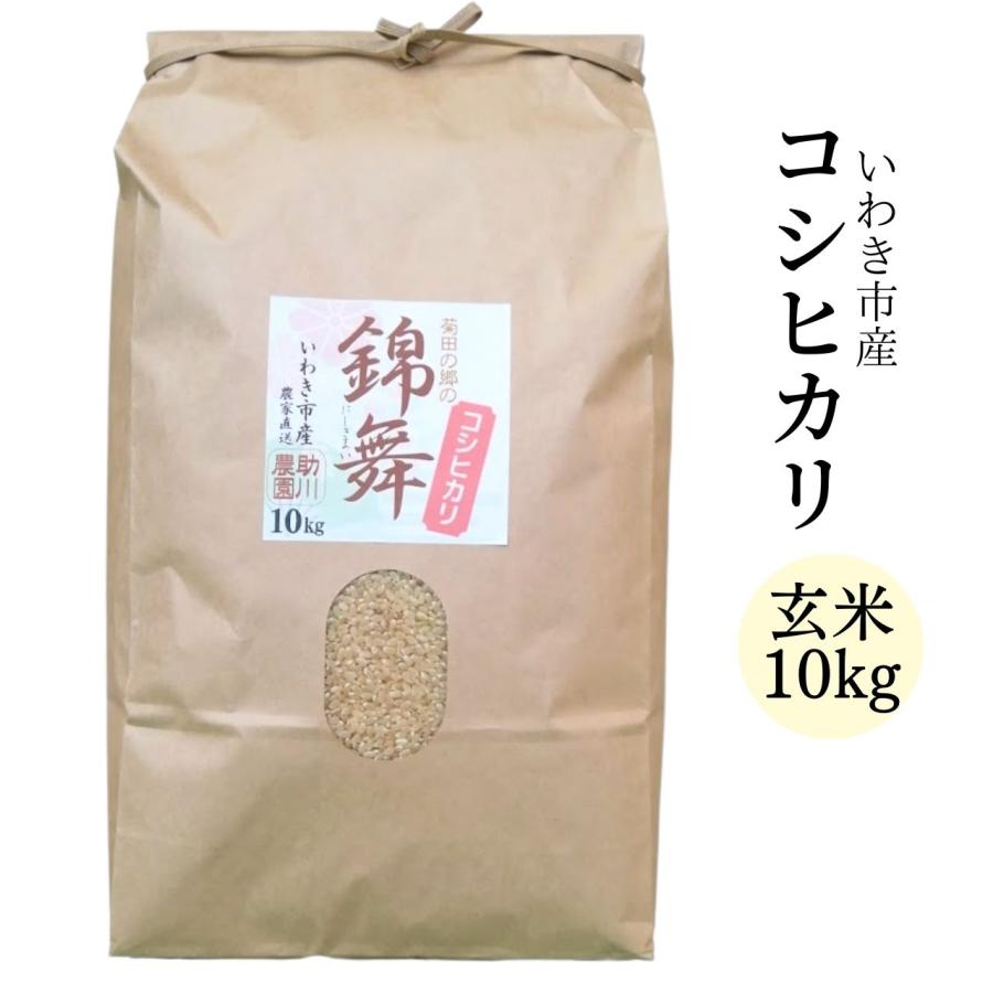 コシヒカリ 玄米10kg いわき市産 令和5年産新米 農家直送米