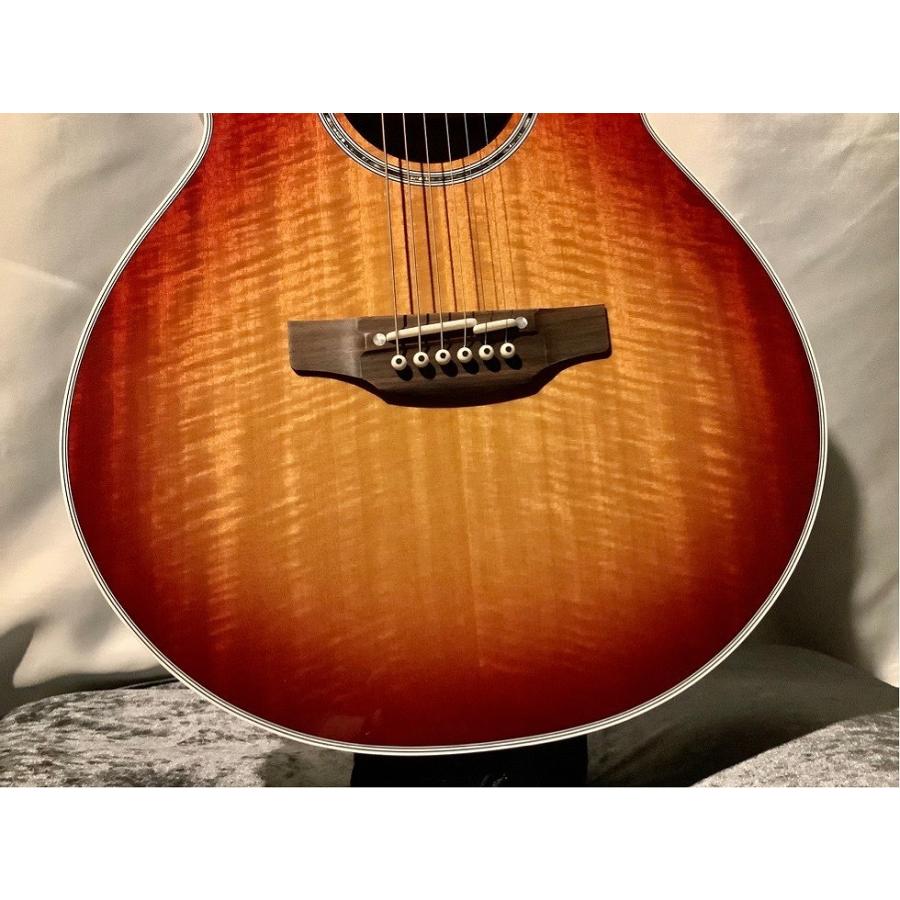 Takamine PTU121C FCB  #57100845