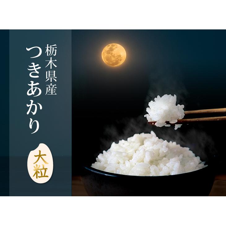 米 20kg お米 つきあかり 送料無料 白米 新米 令和5年 栃木県産（北海道・ 九州 300円）