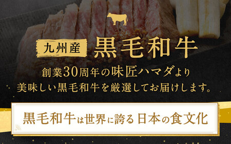 九州産 黒毛和牛 サーロインステーキ 約500g (約250g×2枚) 牛肉 国産 ステーキ