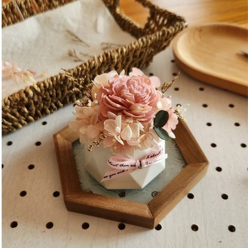 節氣擴香盆栽DIY材料包 共8款 24節氣命名 索拉花 擴香 親子手作