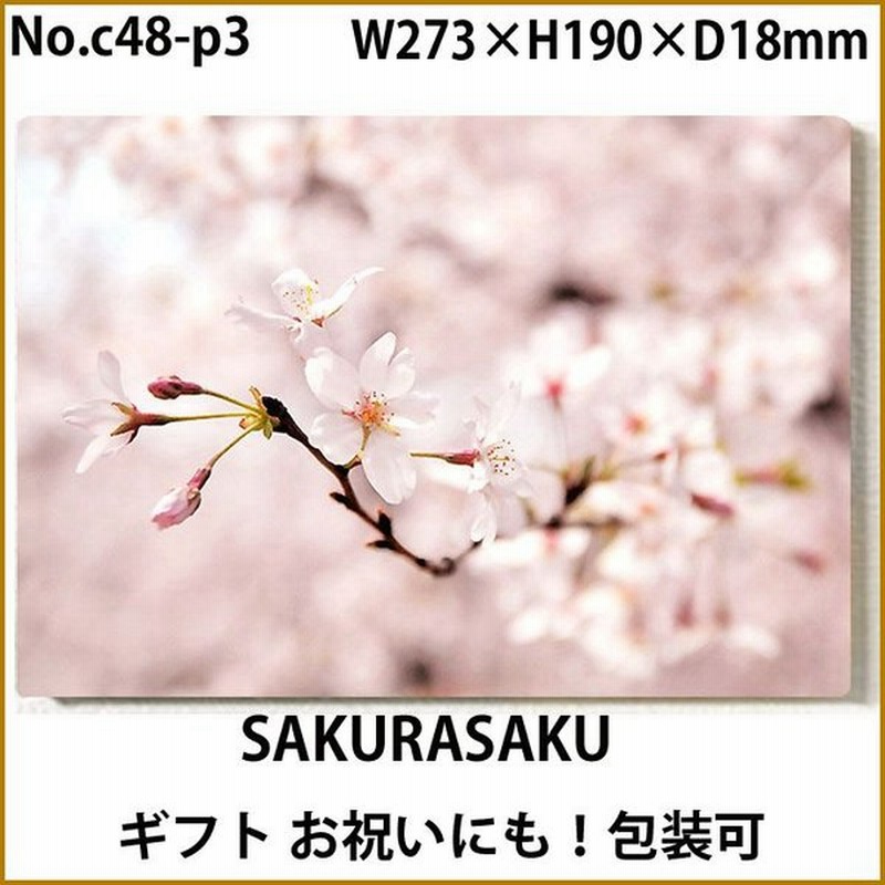 祝開店 大放出セール開催中 アートパネル インテリア サクラ 桜 日本 キャンバス ファブリック パネル 絵画 おしゃれ かわいい 綺麗 ポスター 額縁 壁紙 Supplystudies Com