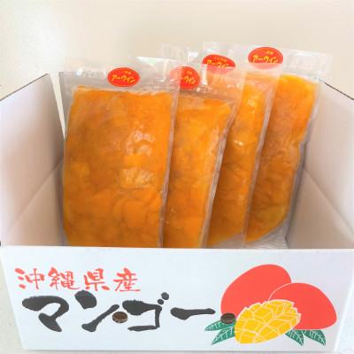 ふるさと納税 今帰仁村 加工向け今帰仁産アーウィンマンゴー2.0kg(500g×4パック)