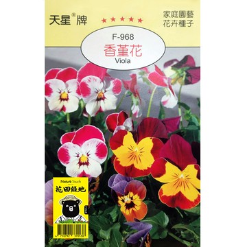 花田綠地種子-香堇花