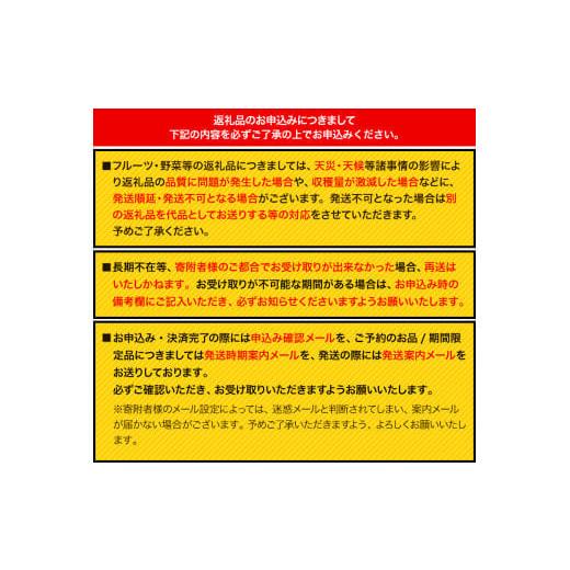 ふるさと納税 和歌山県 紀の川市 和歌山県産 あら川の桃 約4kg(12-15玉入り) お届け時期に合わせた品種を厳選してお届けいたします！《2024年6月中旬-8月中旬…