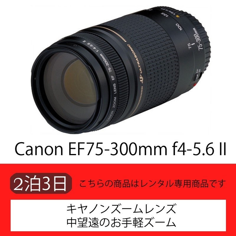 レンタル】Canon EF75-300mm f4-5.6 II【ズーム】（3日） | LINE 