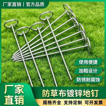 💥免運出貨💖G型釘 防草布地釘 鍍鋅固定釘 100入 戶外營釘 帳篷營釘 草坪固定釘 遮陽棚支撐釘 穩固支撐釘 露營裝備