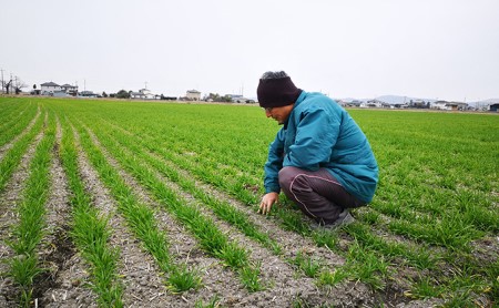 令和5年産 岡山西大寺の幸せもち麦(キラリモチ) 数量限定 2kg(1kg×2)