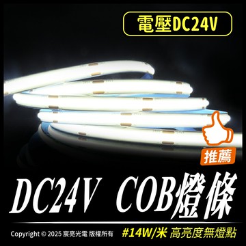 DC24V COB燈條｜高亮度、無燈點｜DC24V｜480燈｜白光、暖白光、自然光