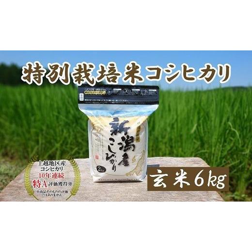 ふるさと納税 新潟県 上越市 令和5年産｜新潟上越三和産｜特別栽培米コシヒカリ（従来種）6kg（2kg×3）玄米