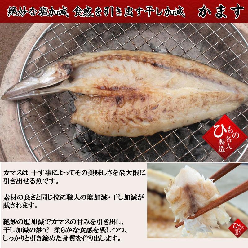 かます開き 干物（単品） 山陰沖日本海産（鳥取県・島根県産）