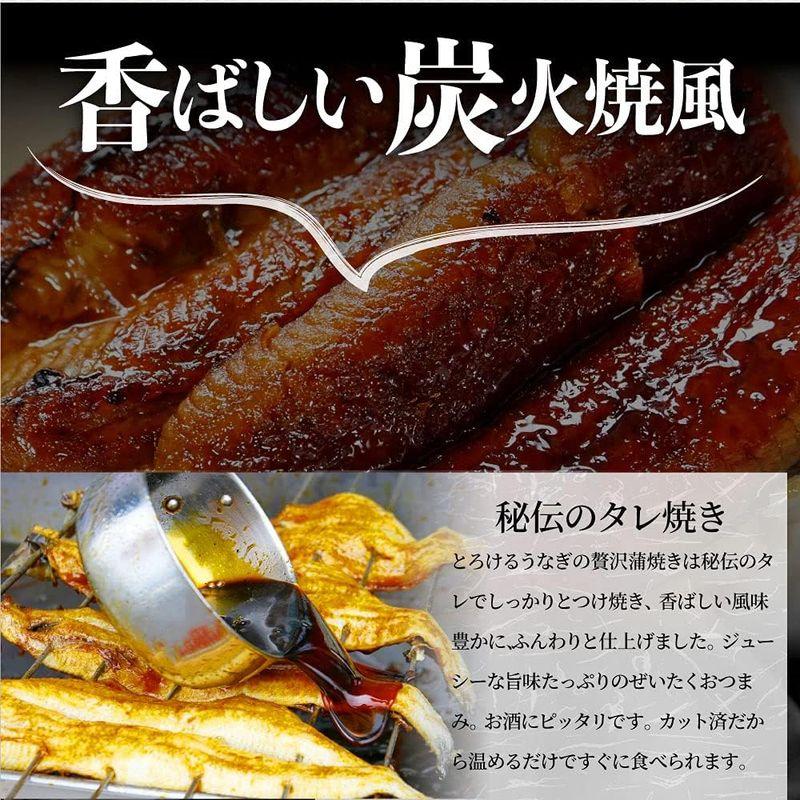 とろけるカットうなぎ 蒲焼 鰻 かば焼き (10人前1kg(100g×10))