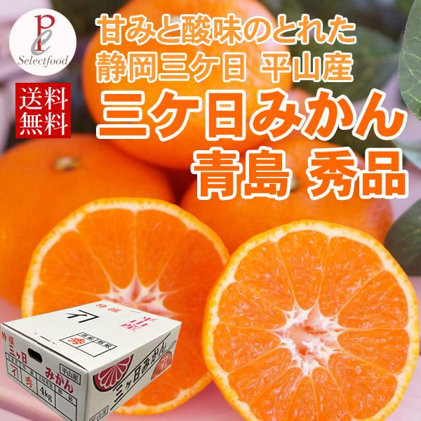 三ケ日みかん 青島  秀品 4kg 三ケ日平山産 秀品 送料無料