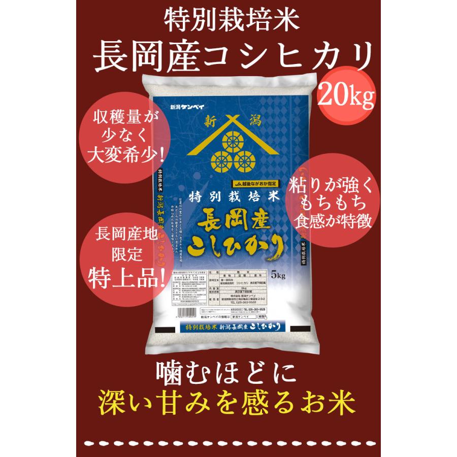 お米 20kg 送料無料 特別栽培米 長岡産コシヒカリ 20kg(5kg×4) 新潟米 令和４年産